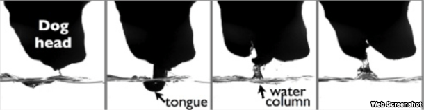 a01bb797-f884-4508-b0a9-2cb8cf6932c7_w610_r0_s