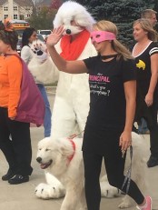 dr-zimmer-jeep-sandy-1