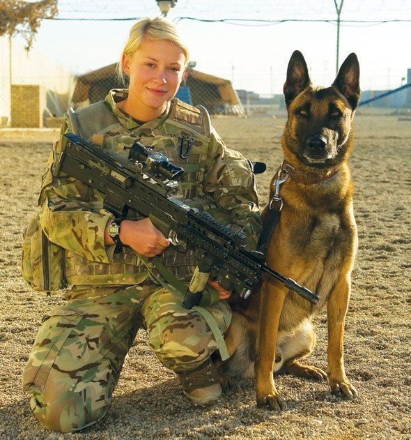 bac4421136b26897518164ef8fee0163--military-working-dogs-military-dogs
