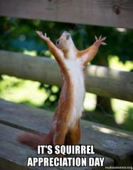 its-squirrel-appreciation-yp17ks