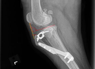 rs=w_1136,h_568,cg_true